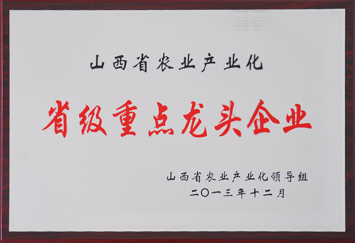 榮譽(yù)證書(shū)29